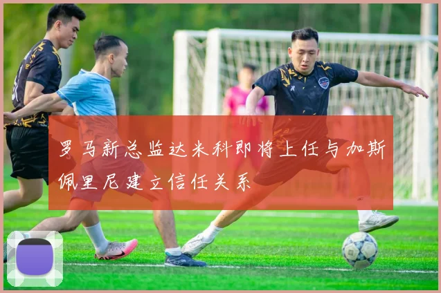罗马新总监达米科即将上任与加斯佩里尼建立信任关系
