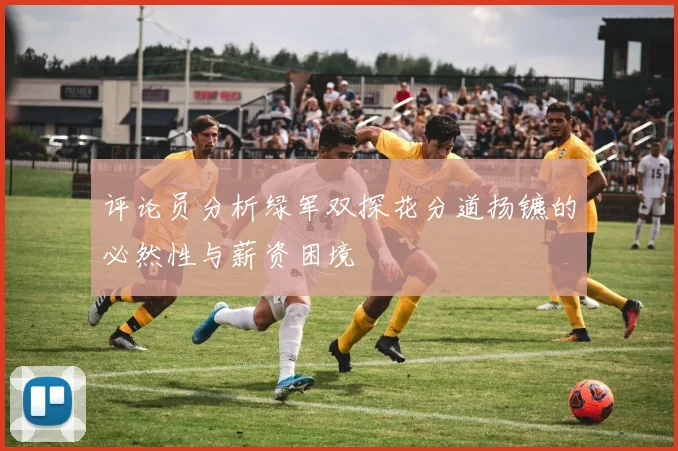 评论员分析绿军双探花分道扬镳的必然性与薪资困境