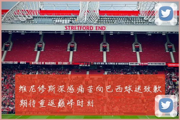维尼修斯深感痛苦向巴西球迷致歉期待重返巅峰时刻