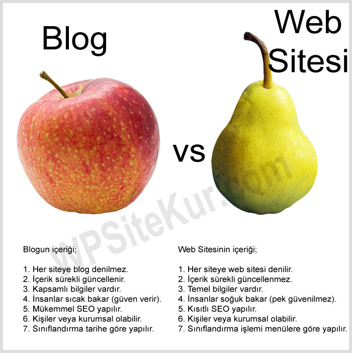 Blog ve Web Site Arasındaki Farklar