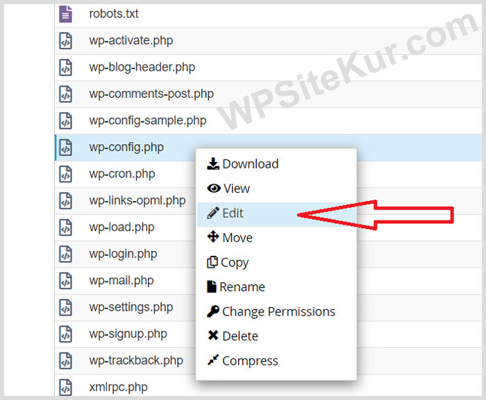 cPanel'den wp-config.php Dosyasını Editlemek - php.ini upload_max_file