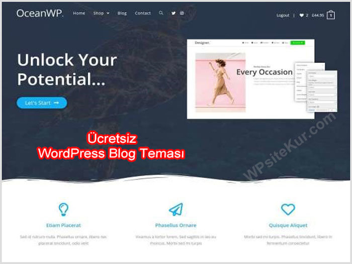 WordPress Blog Teması Ücretsiz OceanWP