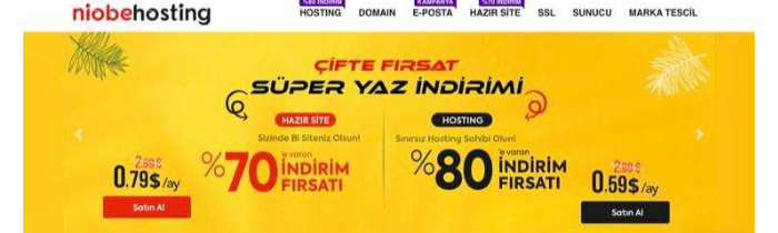 Niobe Hosting İndirimleri